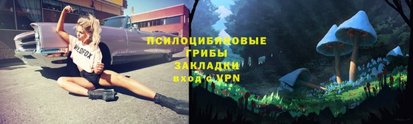 скорость Тольятти