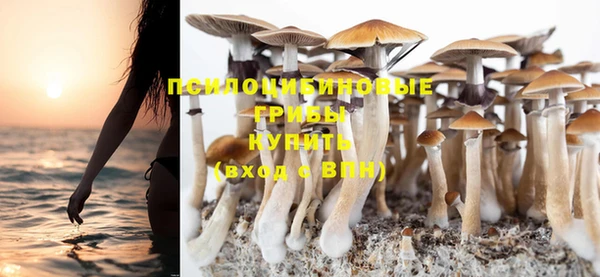 скорость Тольятти