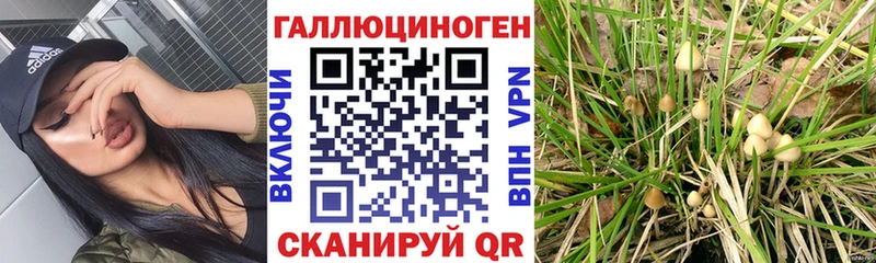 Галлюциногенные грибы мухоморы  закладки  это телеграм  Псков 